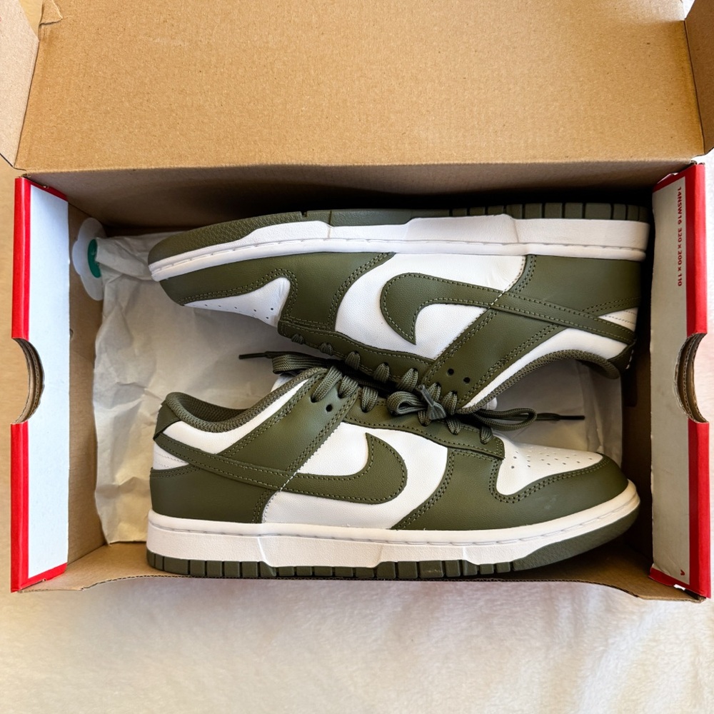 Like New Nike Dunk Low